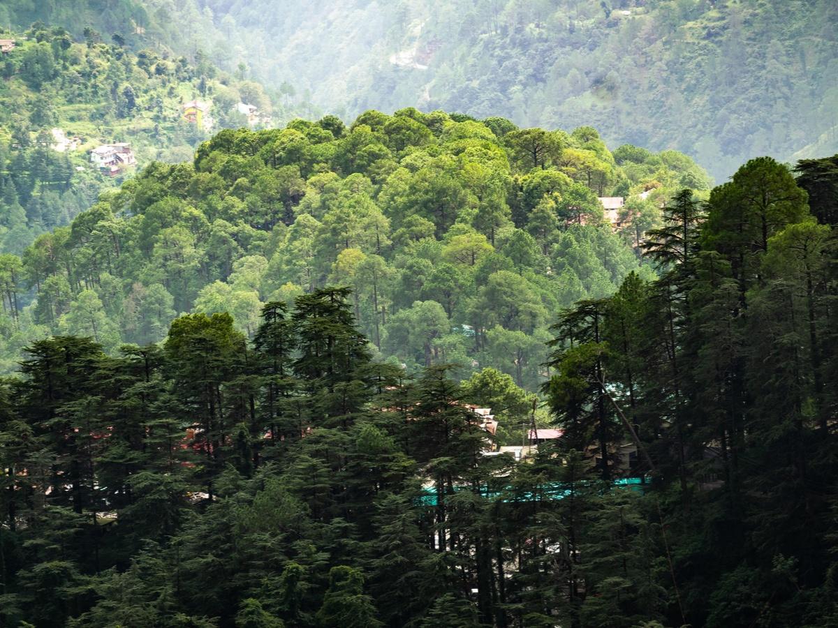 Scenic view from Triund trek.