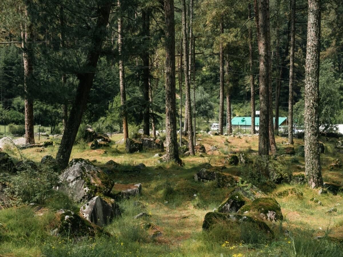 Scenic view from Triund trek.