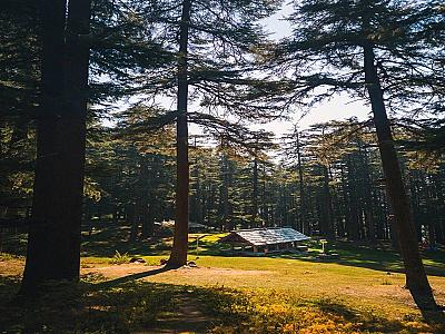 Thumbnail of Triund trek.