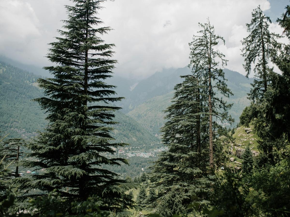 Scenic view from Triund trek.