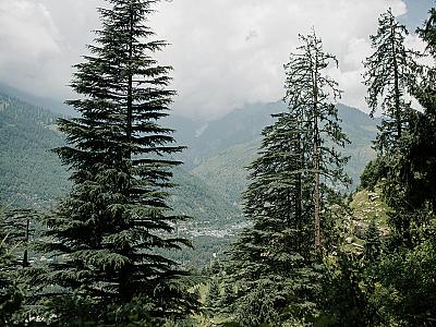Thumbnail of Triund trek.