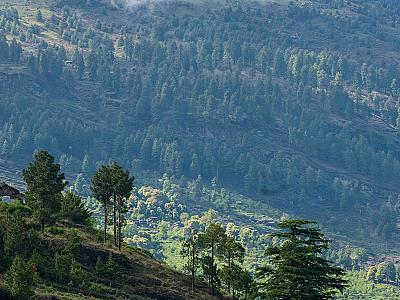 Thumbnail of Triund trek.