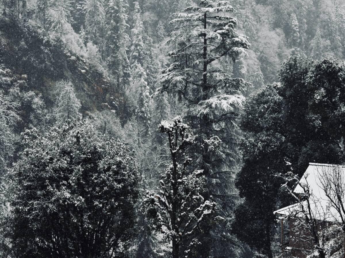 Scenic view from Triund trek.