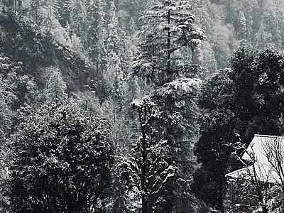 Thumbnail of Triund trek.