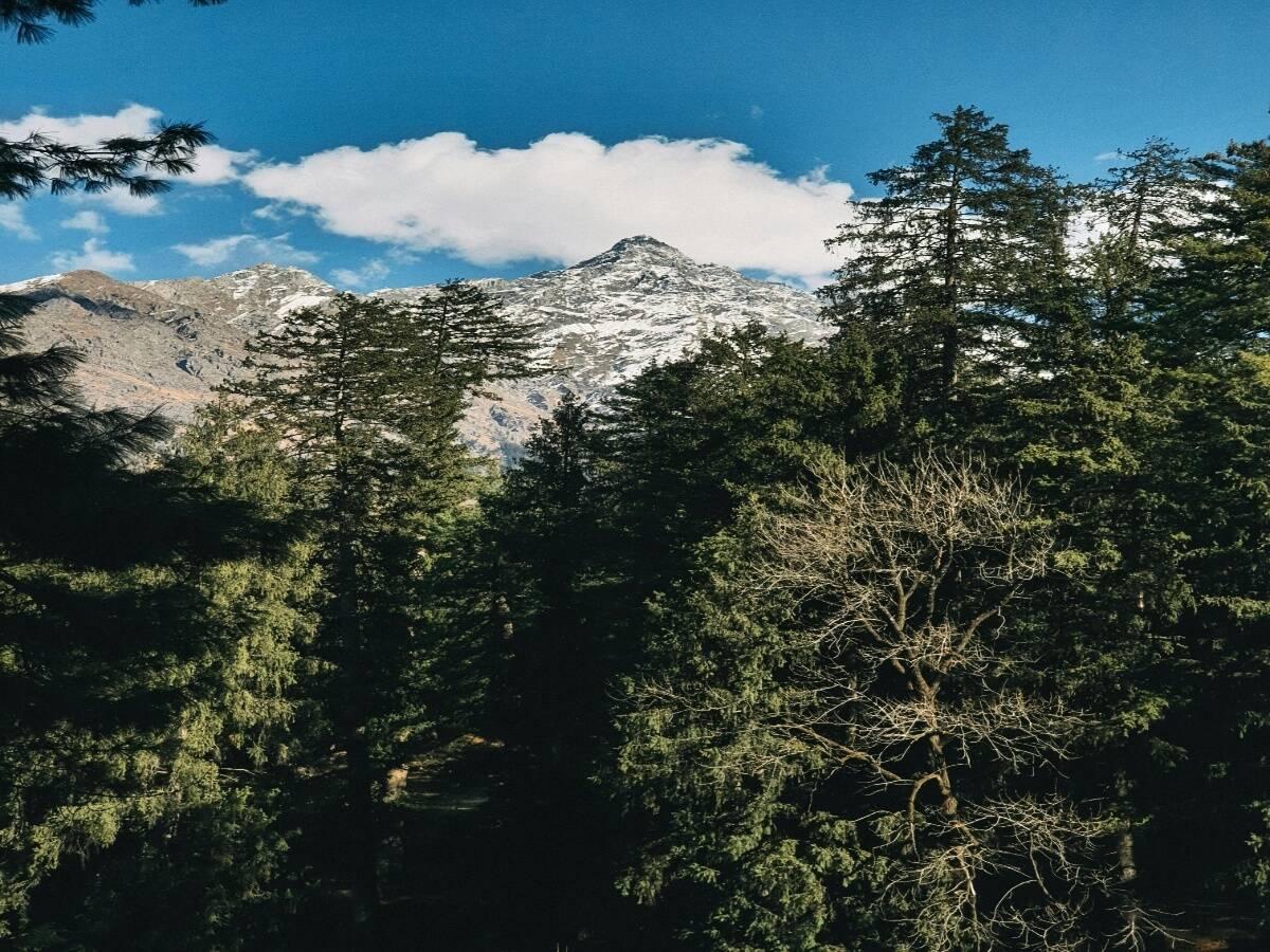 Scenic view from Triund trek.