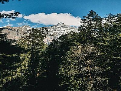 Thumbnail of Triund trek.