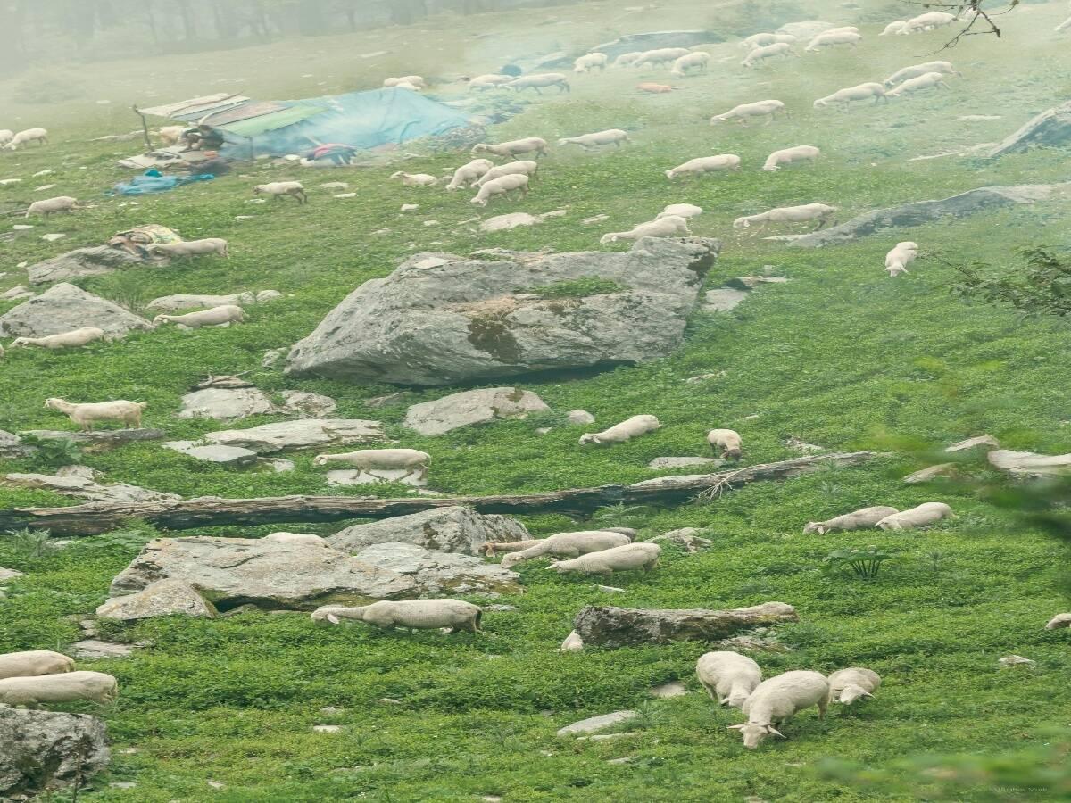 Scenic view from Triund trek.