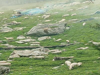 Thumbnail of Triund trek.