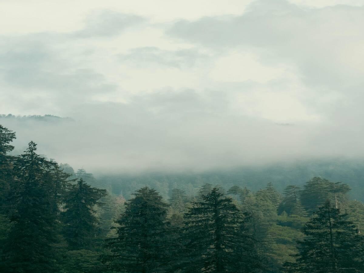 Scenic view from Triund trek.