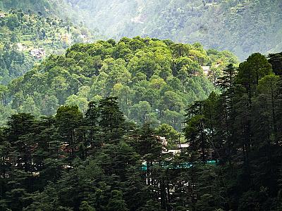 Thumbnail of Triund trek.