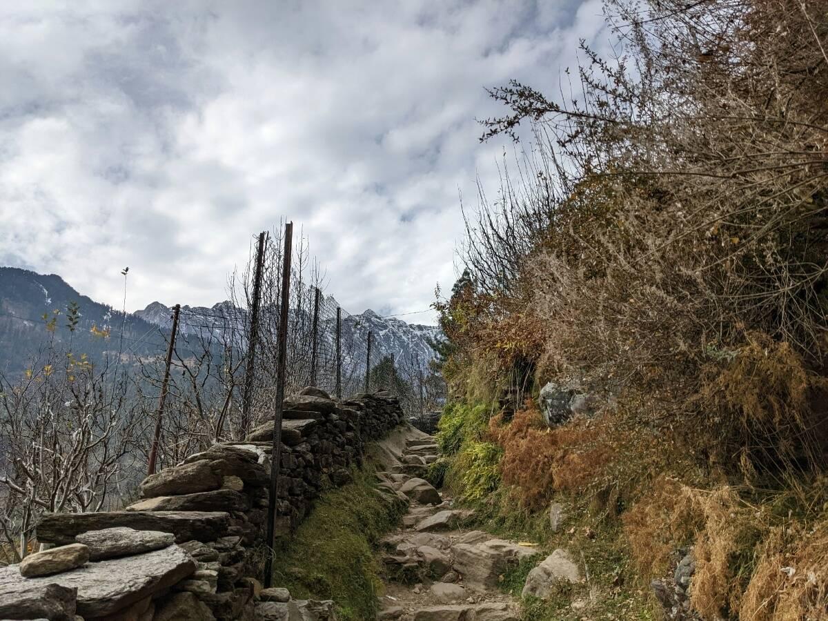 Scenic view from Triund trek.