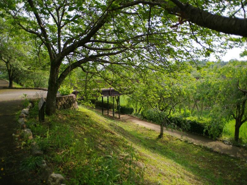 Kotkhai Apple Orchard Cabin