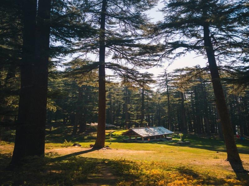 Dharamkot Forest View Workspace