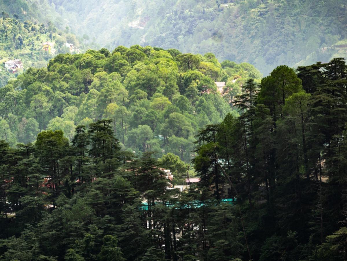 Scenic view from Triund trek.